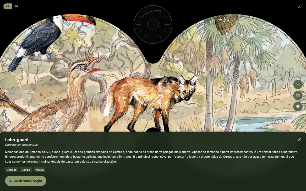 PlayBirds modo binóculo: vista circular do mural com lobo-guará selecionado, ficha da espécie e botão de vocalização.