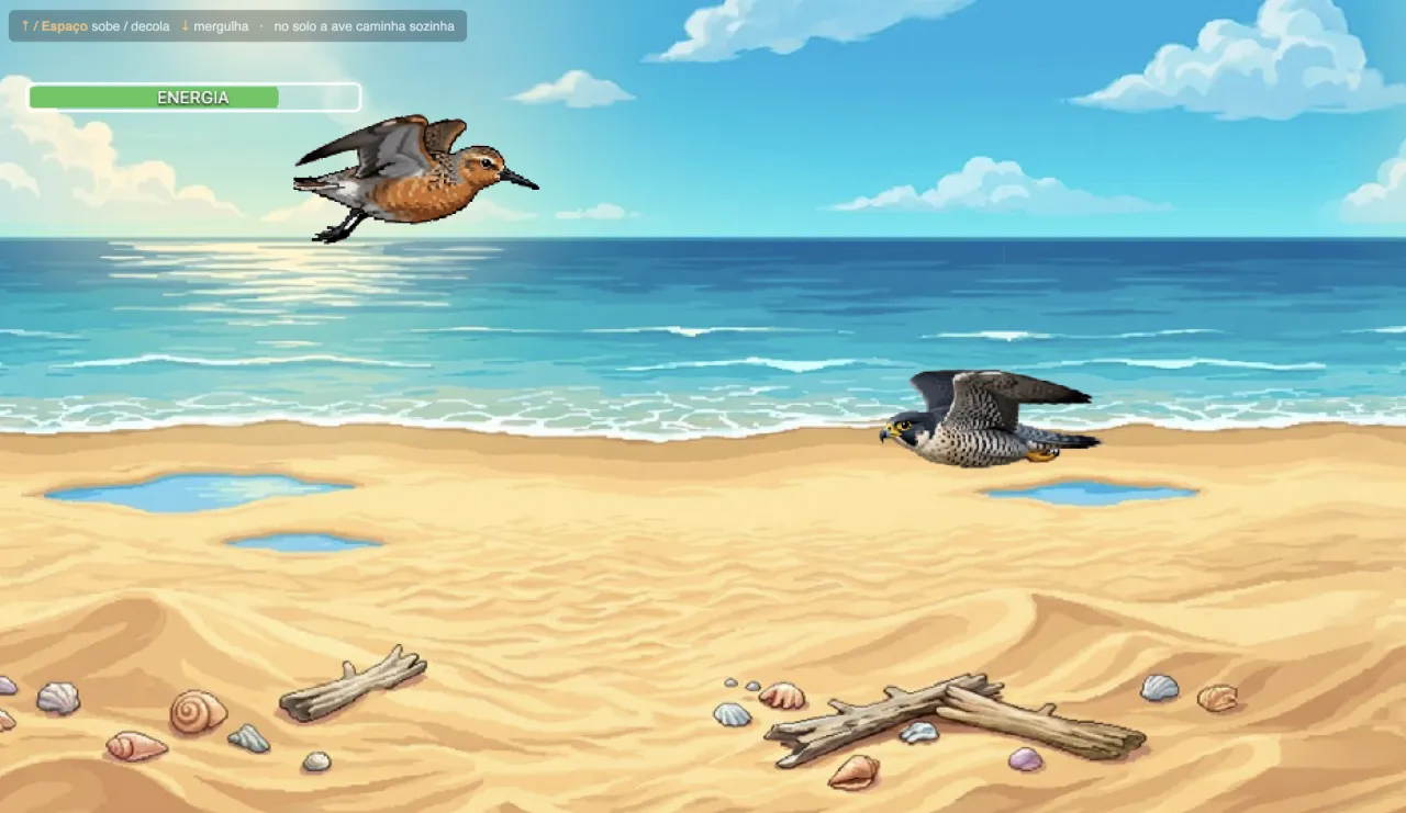 Cenário do jogo em pixel-art: praia com maçarico em voo e falcão peregrino caçando.