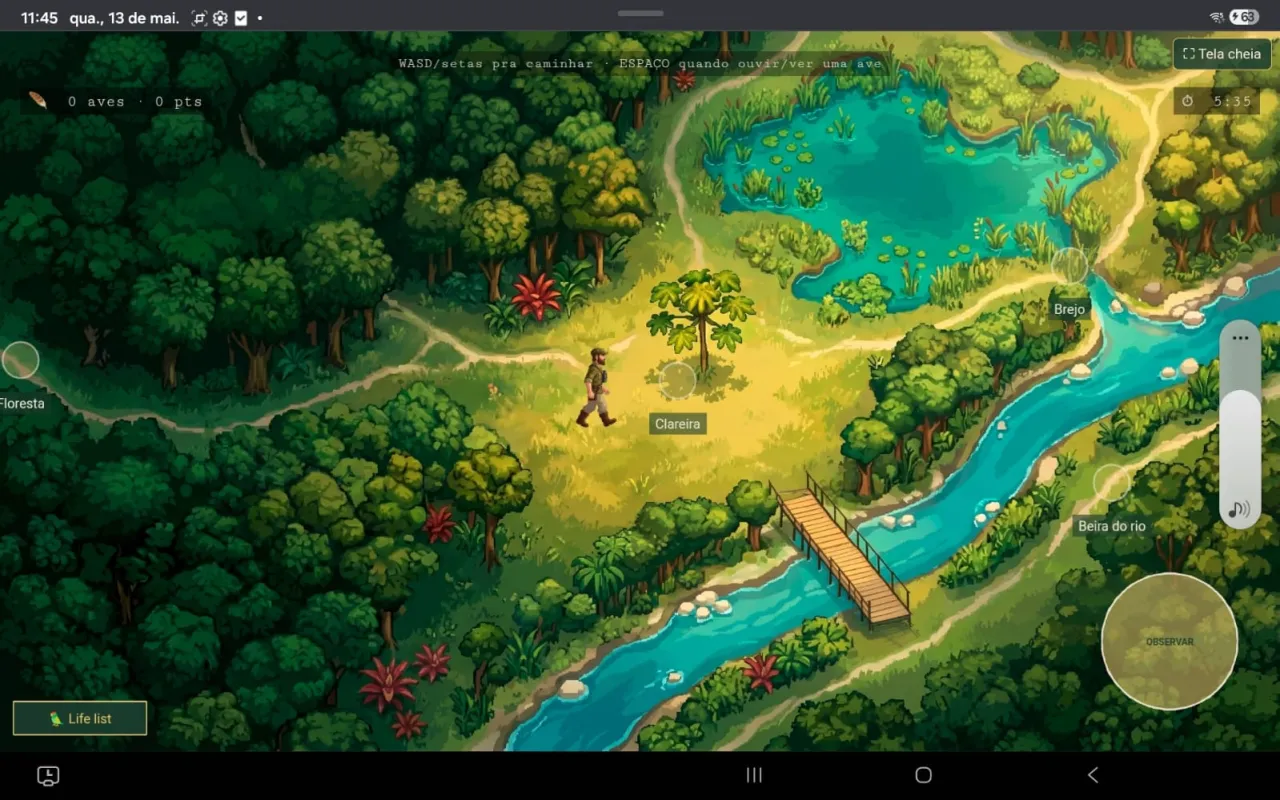 Mapa do jogo em pixel-art: clareira, floresta, brejo e beira do rio.