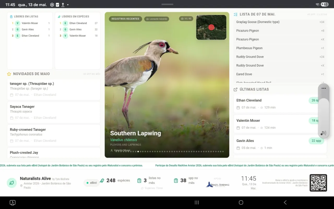 Painel Naturalists Alive em smartTV: líderes em listas, registros recentes, lista do dia.