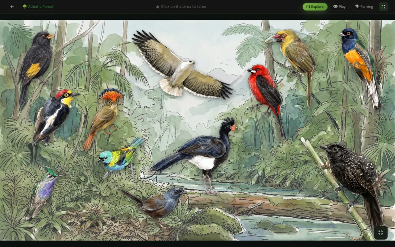 Prancha PlayBirds: habitat de Mata Atlântica em aquarela digital com aves clicáveis que tocam canto.
