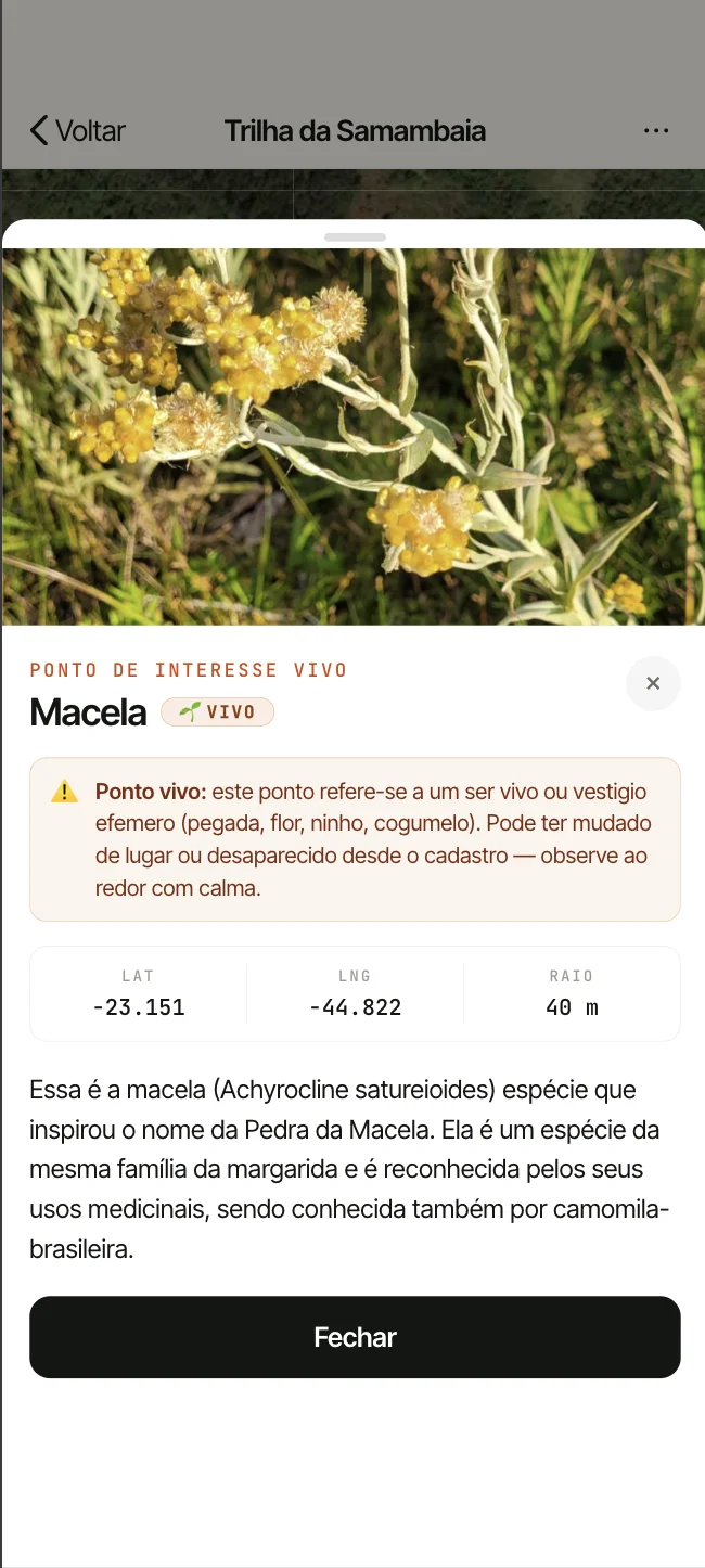Vereda: ponto de interesse aberto com foto, coordenadas e descrição.